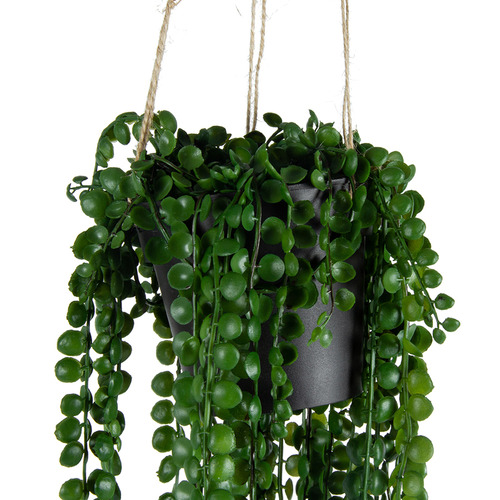 High St. 80cm Potted Faux Hanging Coin-Leaf Peperomia Plant | Temple ...