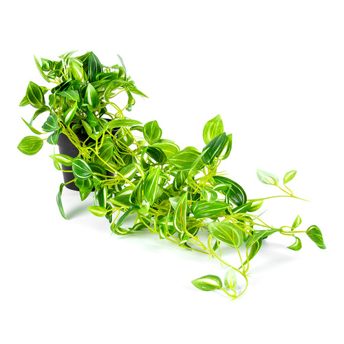 72cm Faux Potted Hanging Green Weeper Plants