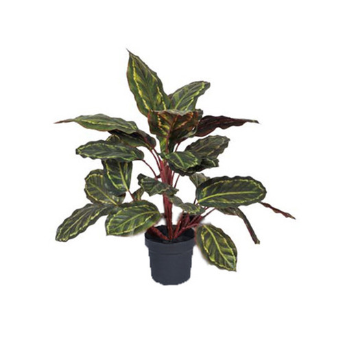 High St. 50cm Potted Faux Calathea Plant Temple & Webster