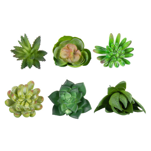High St. 6 Piece Faux Succulent Stem Set Temple & ster