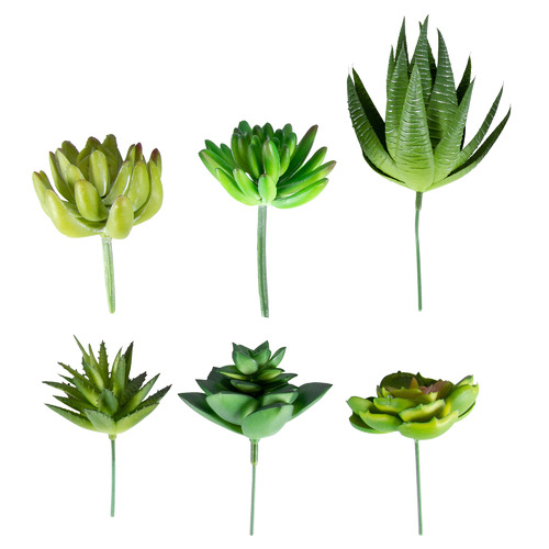 High St. 6 Piece Faux Succulent Stem Set Temple & ster