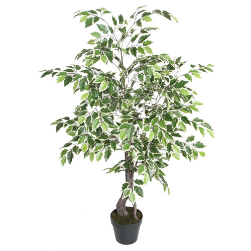 120cm Potted Faux Variegated Ficus Plant Temple & ster