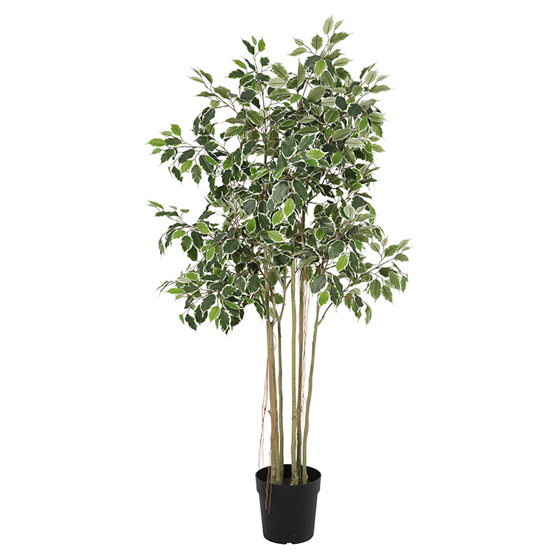 168cm Potted Faux Ficus Tree