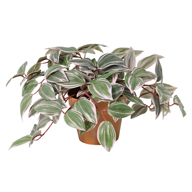 25cm Potted Faux Silver Inch Plant
