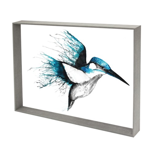 Kingfisher Flourish Framed Print