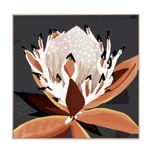 Comino Protea Boxed Canvas  Wall Art