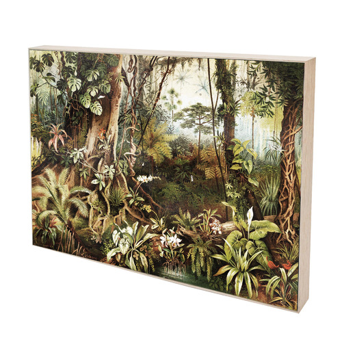 Vintage Jungle Canvas Wall Art