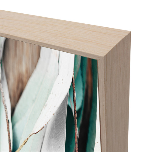 Eucalyptus Framed Canvas Wall Art