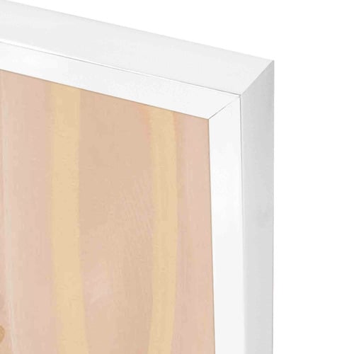 Baruguring Framed Acrylic Wall Art