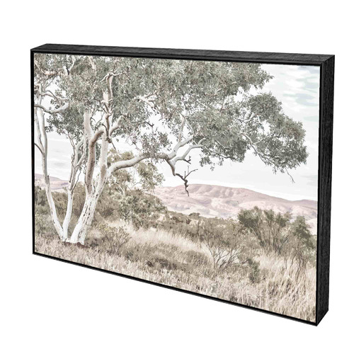 Stringybark Tree Framed Canvas Wall Art