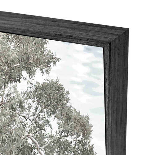 BelleAvenue Stringybark Tree Framed Canvas Wall Art | Temple & Webster