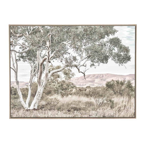 Stringybark Tree Framed Canvas Wall Art