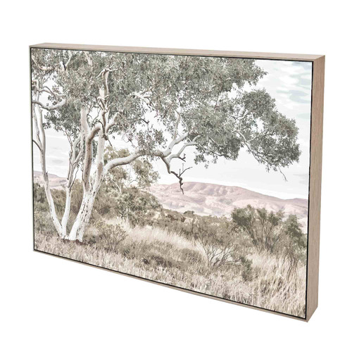 Stringybark Tree Framed Canvas Wall Art