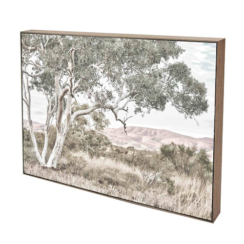 Stringybark Tree Framed Canvas Wall Art
