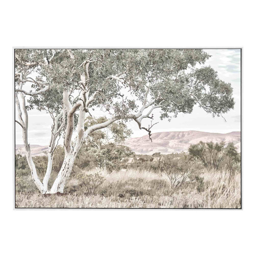 BelleAvenue Stringybark Tree Framed Canvas Wall Art | Temple & Webster