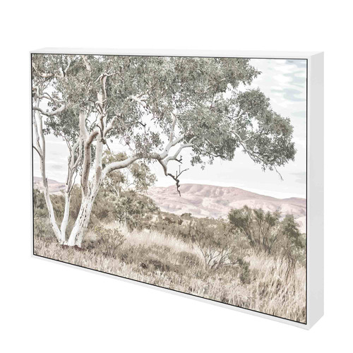 Stringybark Tree Framed Canvas Wall Art