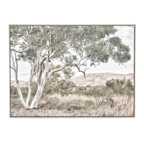 Stringybark Tree Framed Canvas Wall Art