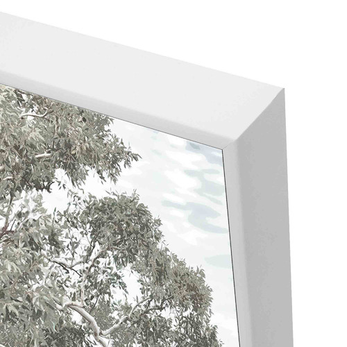 Stringybark Tree Framed Canvas Wall Art