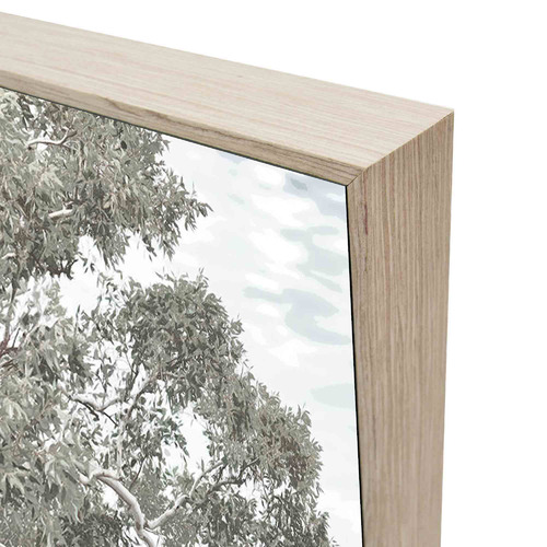 Stringybark Tree Framed Canvas Wall Art