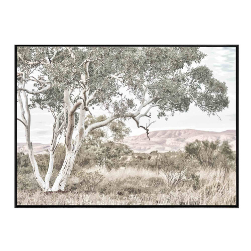 Stringybark Tree Framed Canvas Wall Art