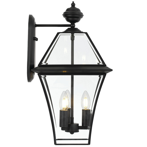 Black Rye Outdoor Wall Light