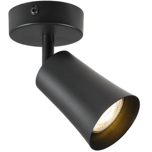 Alvey Metal Spotlight