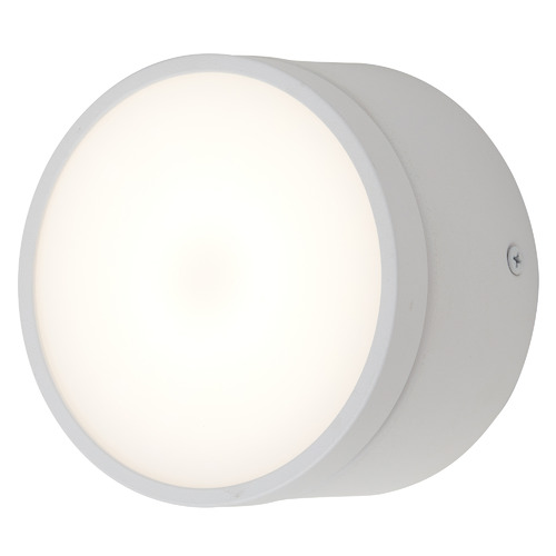 Netra Aluminium LED Downlight | Temple & Webster