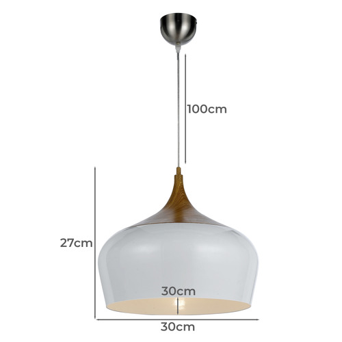 Cassius 1 Light Metal Pendant