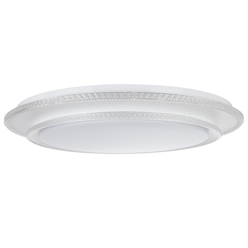 Reyansh Oyster Light