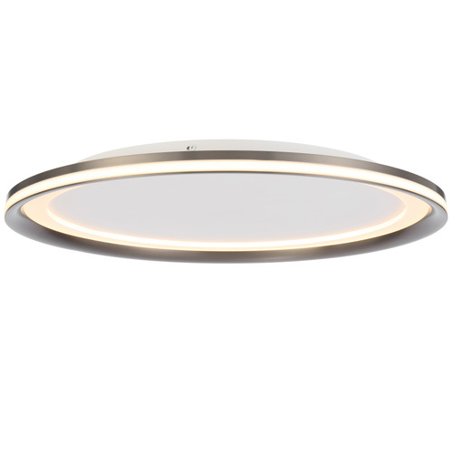 Neriah Oyster Light