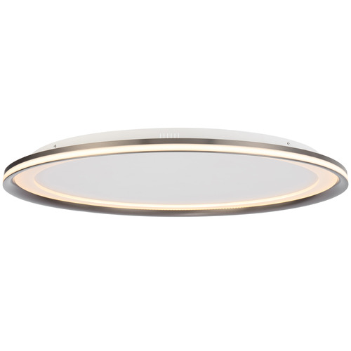 Neriah Oyster Light