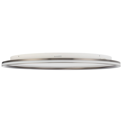 Neriah Oyster Light