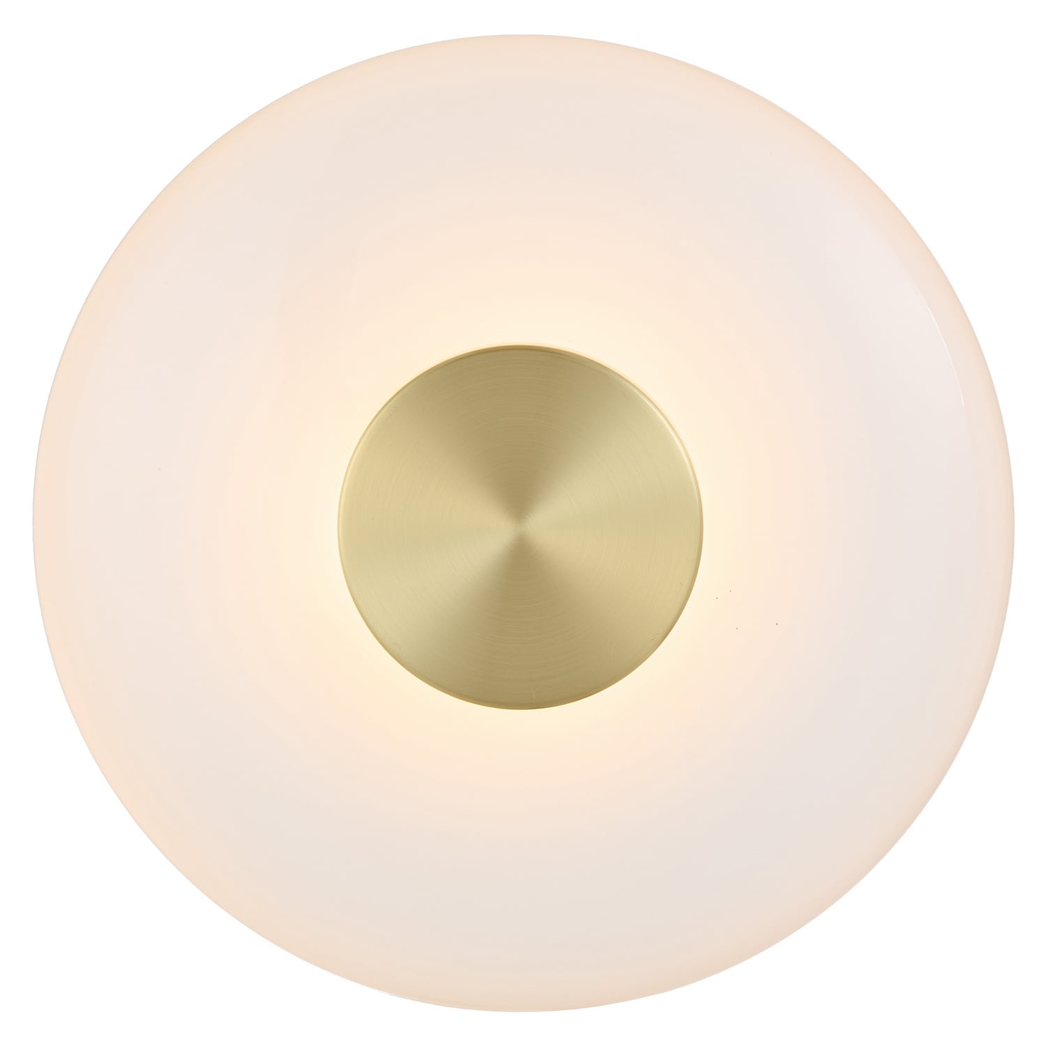 Elowen Iron LED Wall Sconce