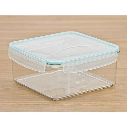 Stay Fresh 2.4L Tritan Food Storage Container Temple & ster