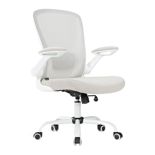 Eureka OC06 Onyx Ergonomic Office Chair