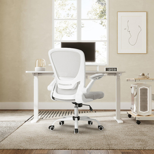 Eureka OC06 Onyx Ergonomic Office Chair