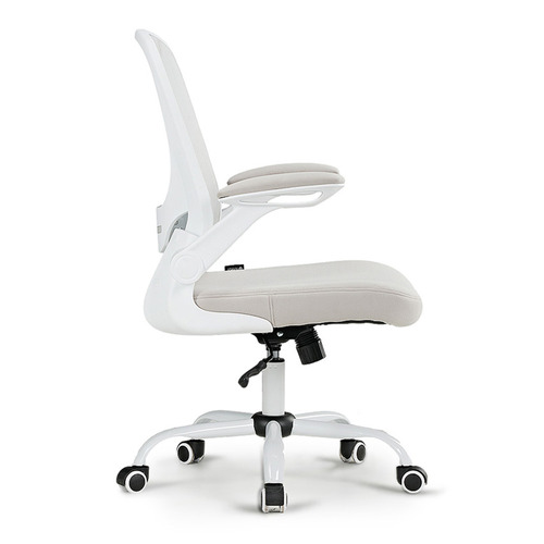Eureka OC06 Onyx Ergonomic Office Chair
