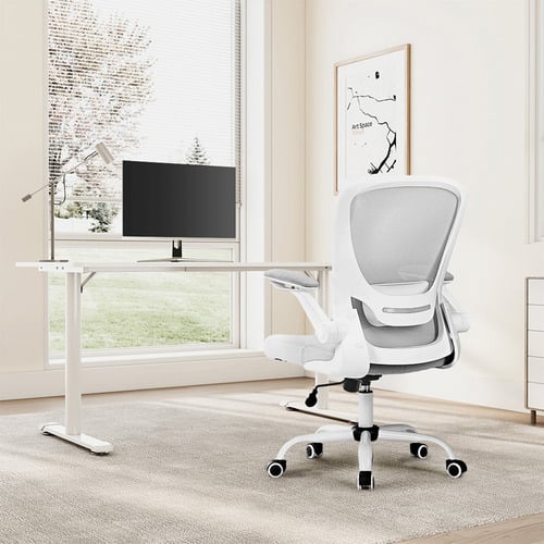 Eureka OC06 Onyx Ergonomic Office Chair