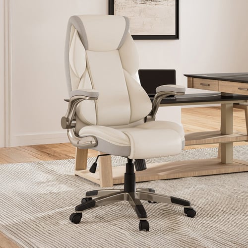 Eureka OC11 Ergonomic Office Chair