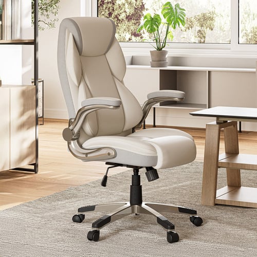Eureka OC11 Ergonomic Office Chair