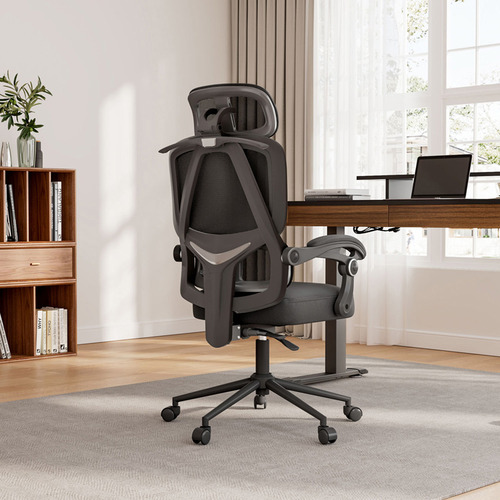 Eureka OC16 Nero Ergonomic Office Chair