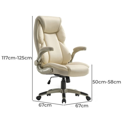 Eureka OC11 Ergonomic Office Chair