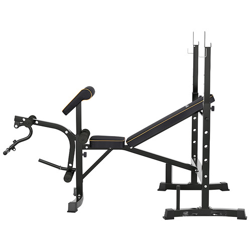 10in1 Apex Weight Bench Temple & ster
