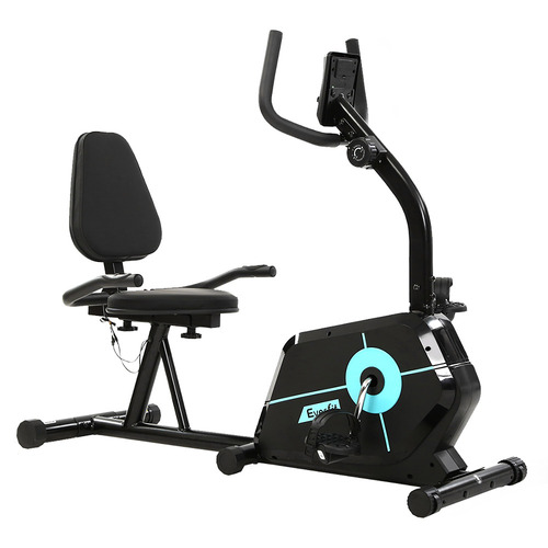 Aina Recumbent Bike