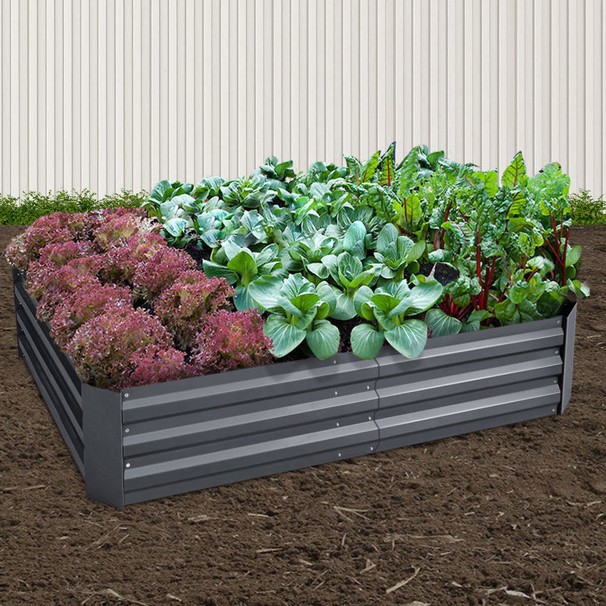 Kelly VI Garden Bed