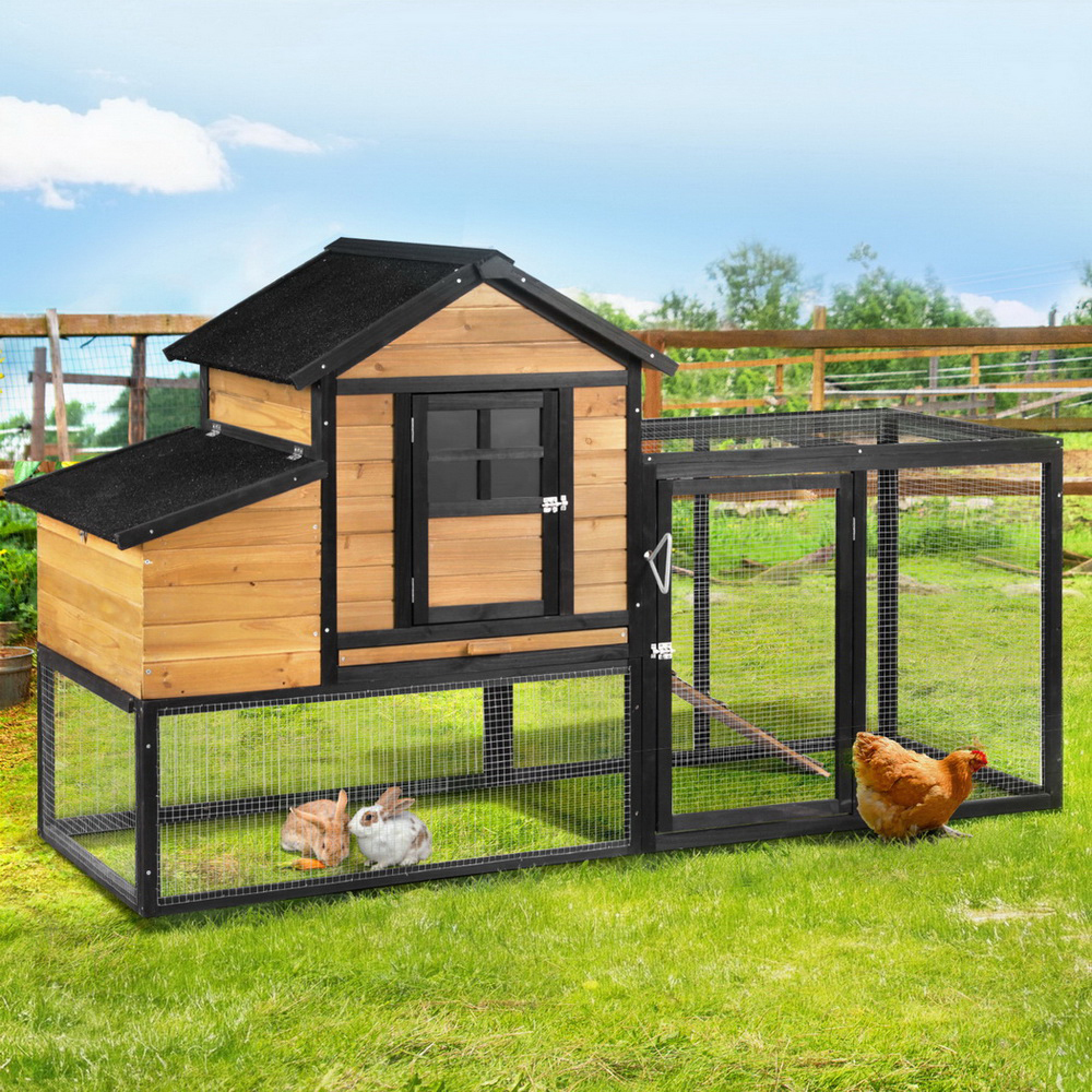Lexi Chicken Coop & Rabbit Hutch
