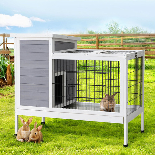 Conley Chicken Coop & Rabbit Hutch