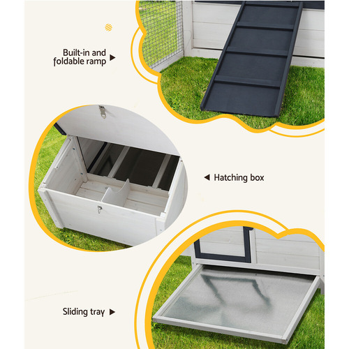 Quina Chicken Coop & Rabbit Hutch
