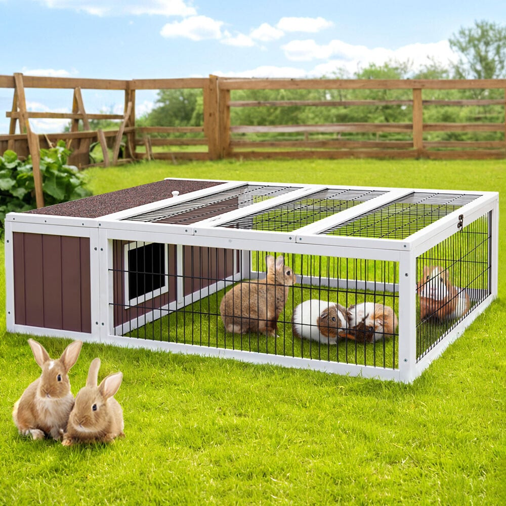 Dahlia Chicken Coop & Rabbit Hutch