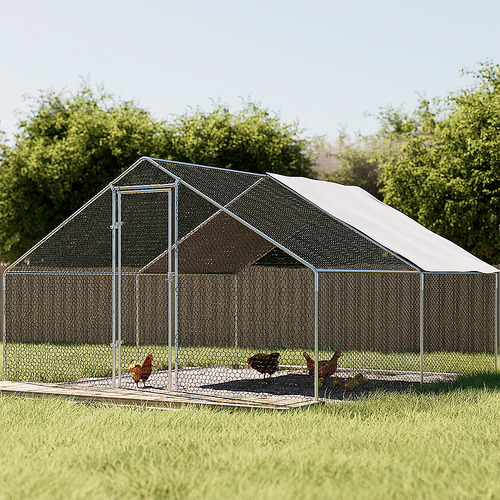 Ciaran Chicken Coop